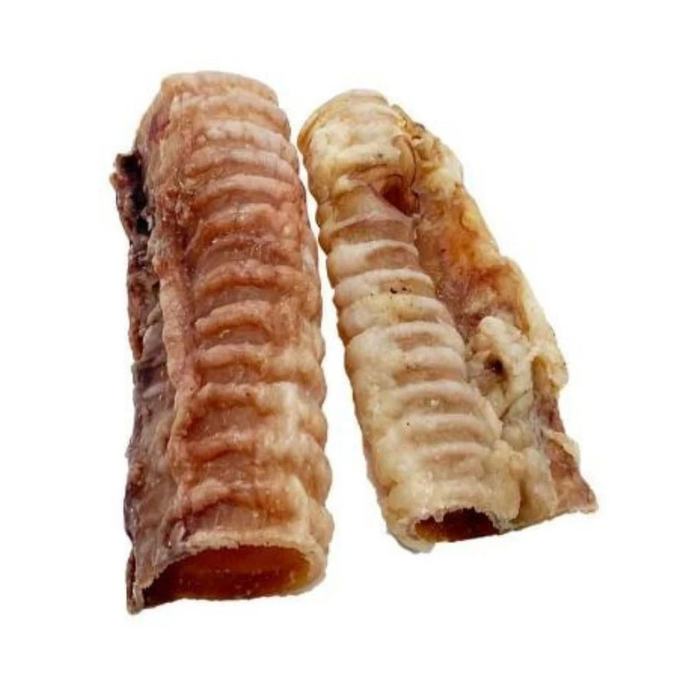 Mordedor Natural Traquea de Ternera Deshidratada (ud) Mordedores para Perros Patitas&co