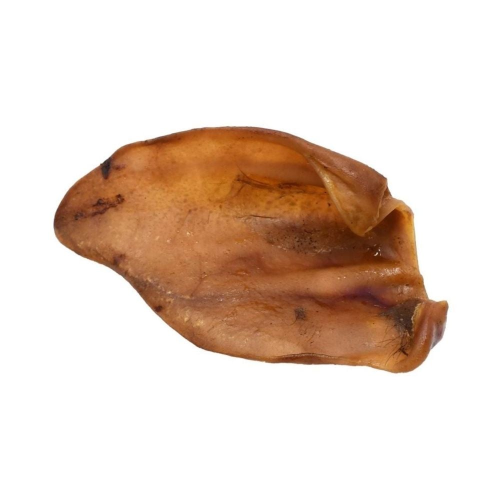 Mordedor Natural Oreja de Cerdo (ud) Mordedores para Perros Patitas&co