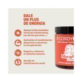 Mary & Trufa Cordy Power Suplemento para Perros y Gatos 75g Vitaminas para Perros y otros Suplementos Patitas&co