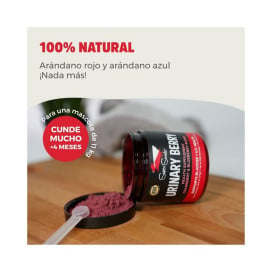 Suplemento Super Snouts Urinary Berry Vitaminas para Perros y otros Suplementos Patitas&co
