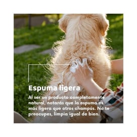 Champu Natural Perros Doog Life Cosmética Natural y Peluquería Perros Patitas&co