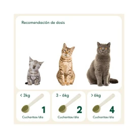 Wild Balance Suplemento Natural Digestiones Firmes Vitaminas para Perros y otros Suplementos Patitas&co