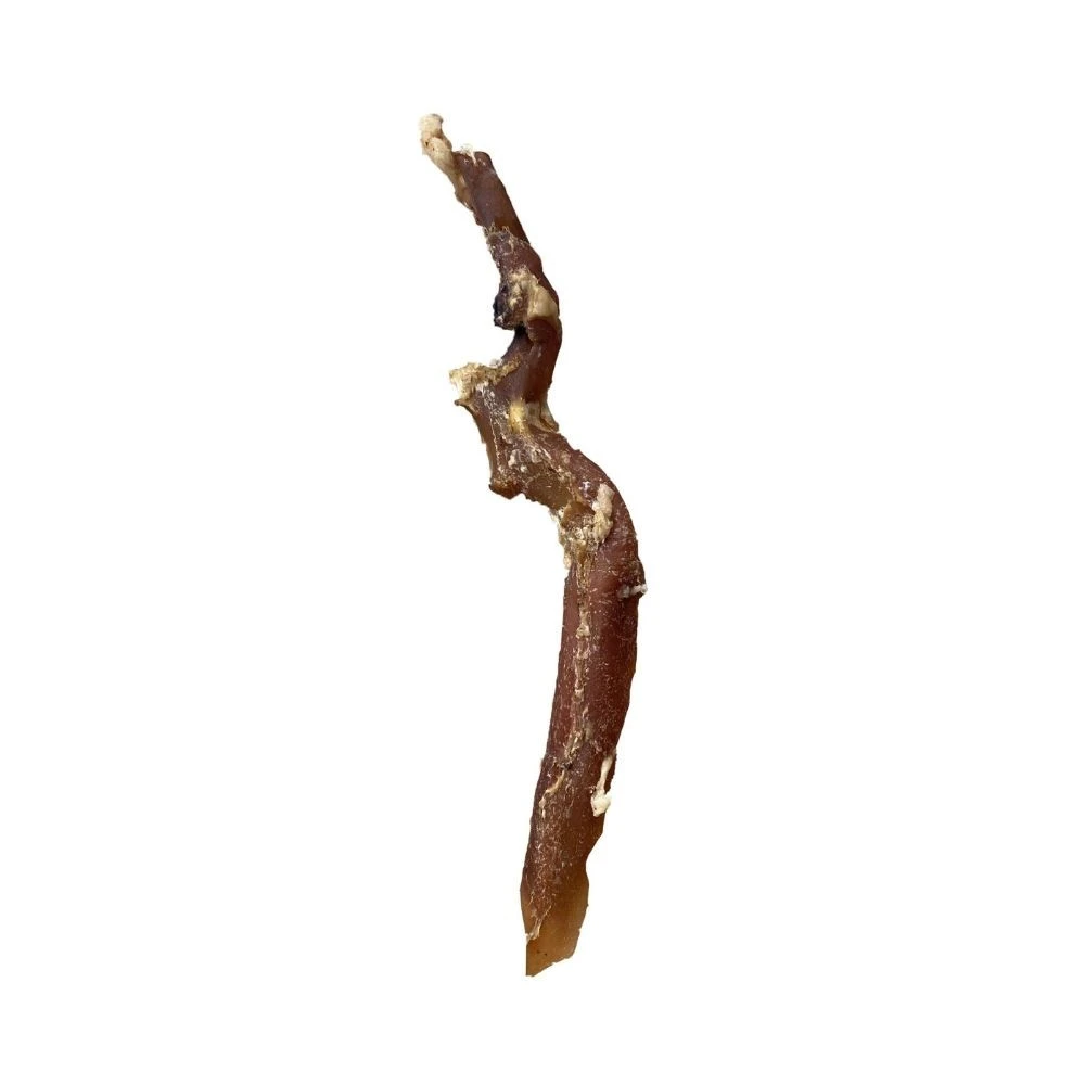 Snack Mordedor Natural de Aorta de Ternera Patitas Mordedores para Perros Patitas&co