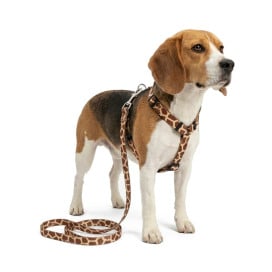 Pack Patitas Arnés Classic Jirafa + Correa + Porta Bolsas Accesorios de Paseo para Perro Patitas&co