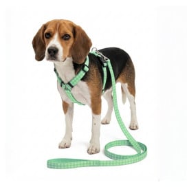 Pack Patitas Arnés Classic Vichy + Correa + Porta Bolsas Accesorios de Paseo para Perro Patitas&co