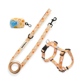 Pack Patitas Arnés Classic Soles + Correa + Porta Bolsas Accesorios de Paseo para Perro Patitas&co