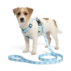 Pack Patitas Arnés Classic Nubes + Correa + Porta Bolsas Accesorios de Paseo para Perro Patitas&co