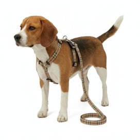 Pack Patitas Arnés Classic Cuadros + Correa + Porta Bolsas Accesorios de Paseo para Perro Patitas&co