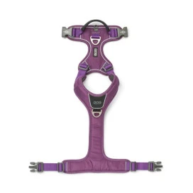 DOG Copenhagen Arnés Morado Comfort Walk Pro para Perro Patitas&co Patitas&co