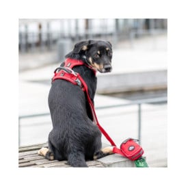 DOG Copenhagen Arnés Rojo Comfort Walk Pro para Perro Arneses para perro Patitas&co