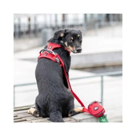 DOG Copenhagen Arnés Rojo Comfort Walk Pro para Perro Arneses para perro Patitas&co
