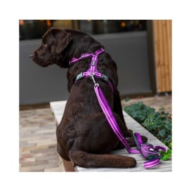 DOG Copenhagen Arnés Morado Comfort Walk Air para Perro Arneses para perro Patitas&co
