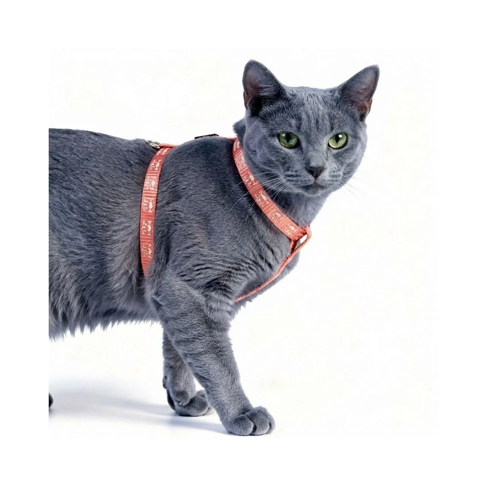Freedog Arnés Reflectante Rosa para Gato Collar, Correa y Arnes para Gatos Patitas&co