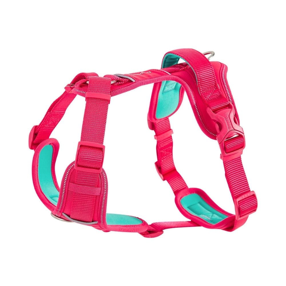 Freedog Arnés Limitless Fucsia para Perro Accesorios de Paseo para Perro Patitas&co