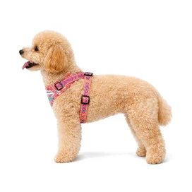 Arnés Patitas Inca Accesorios de Paseo para Perro Patitas&co