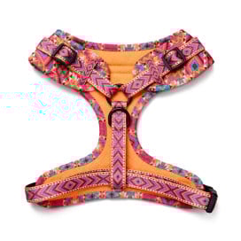 Arnés Patitas Inca Accesorios de Paseo para Perro Patitas&co