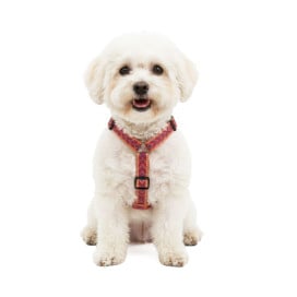 Arnés Patitas Classic Inca para Perro Arneses para perro Patitas&co