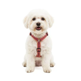 Arnés Patitas Classic Inca para Perro Arneses para perro Patitas&co