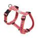 Arnés Patitas Classic Inca para Perro