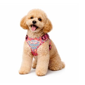 Pack Patitas Inca Arnés + Correa + Portabolsas Accesorios de Paseo para Perro Patitas&co