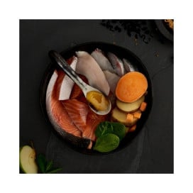 Canagan Pienso de Salmón Escocés para Gatos Patitas&co Patitas&co