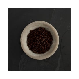 Canagan Pienso de Salmón Escocés para Gatos Patitas&co Patitas&co