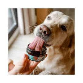 Dentrífico Natural Doog Life para Perros y Gatos Higiene dental perros Patitas&co