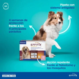 Effitix 4 Pipetas Antiparasitos para Perros (4 – 10 kg) Antiparasitarios y Repelentes para perros Patitas&co