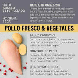 Givers Tarrina con Trocitos en Salsa de Pollo y Vegetales para Gato Comida húmeda para gatos Patitas&co