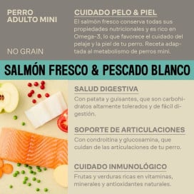 Givers Pienso de Salmón y Pescado Blanco para Perro Mini Pienso para Perros Patitas&co