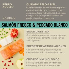 Givers Pienso de Salmón y Pescado Blanco para Perro Pienso para Perros Patitas&co