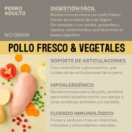 Givers Pienso de Pollo con Vegetales para Perro Patitas&co Patitas&co