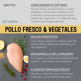 Givers Pienso de Pollo y Vegetales para Gatito Pienso para gatos Patitas&co