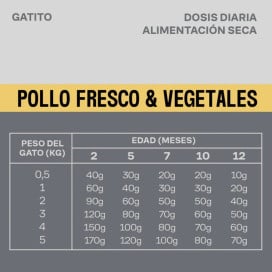Givers Pienso de Pollo y Vegetales para Gatito Pienso para gatos Patitas&co