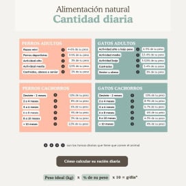 Natuka Comida Cocinada Menú de Pollo y Salmón para Gato Comida cocinada para gatos Patitas&co