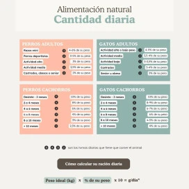 Natuka Comida Cocinada Menú de Salmón y Pulpo para Perro Comida Cocinada para Perro Patitas&co