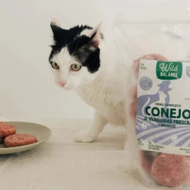 Wild Balance Dieta BARF de Conejo para Gatos Dieta BARF Gatos Patitas&co