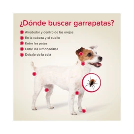 Canishield Collar Antiparasitario para Perros Pequeños y Medianos (1 ud) Antiparasitarios y Repelentes para perros Patitas&co