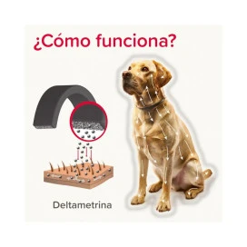Canishield Collar Antiparasitario para Perros Pequeños y Medianos (2 uds) Antiparasitarios y Repelentes para perros Patitas&co
