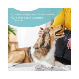 Beaphar Champú Anticaspa para Perros y Gatos Patitas&co Patitas&co