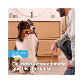 Beaphar Gel Dental sin Cepillado para Perros y Gatos Patitas&co Patitas&co