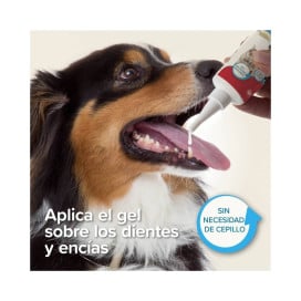 Beaphar Gel Dental sin Cepillado para Perros y Gatos Patitas&co Patitas&co