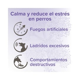 Beaphar Pipetas Calmantes para Perros (3 uds) Feromonas y Relajantes para Perros Patitas&co
