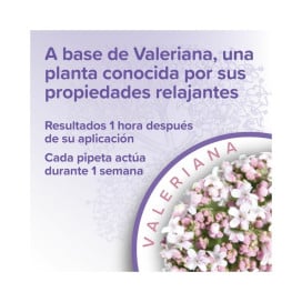 Beaphar Pipetas Calmantes para Perros (3 uds) Feromonas y Relajantes para Perros Patitas&co