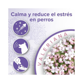 Beaphar Calming Collar para Perro Patitas&co Patitas&co