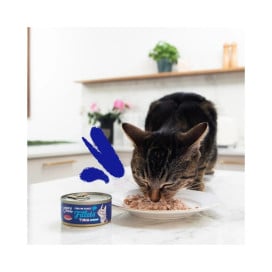 Edgard and Cooper Lata de Filetes de Atún para Gato Patitas&co Patitas&co