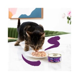 Edgard and Cooper Lata de Filetes de Atún y Gambas para Gato Comida húmeda para gatos Patitas&co