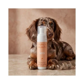 Masco Beauty Champú Seco en Espuma Champús para Perros Patitas&co