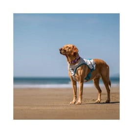 Non-stop Dogwear Chaleco Refrescante para Perro Patitas&co Patitas&co