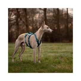 Non-stop Dogwear Arnés Ramble Long con 6 Puntos de Ajuste para Perro Patitas&co Patitas&co